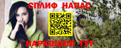амф Славгород