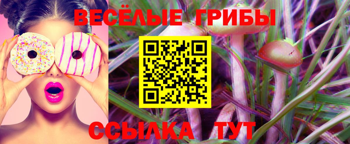 Галлюциногенные грибы GOLDEN TEACHER Обнинск